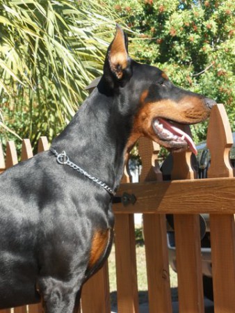 Caspar Donsa from Fourteenth Meridian